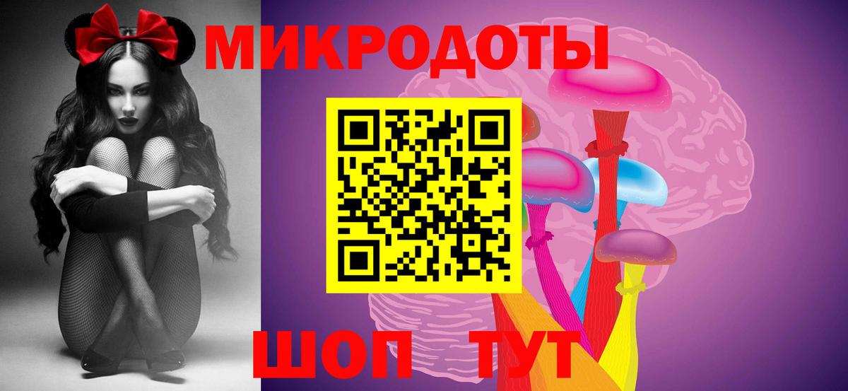 как найти   Галлюциногенные грибы Cubensis  Вход с VPN  Галлюциногенные грибы Cubensis  Михайловка 